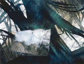 Green Trees In Window