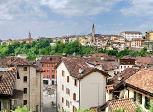 Belluno, Italy. 2019. License