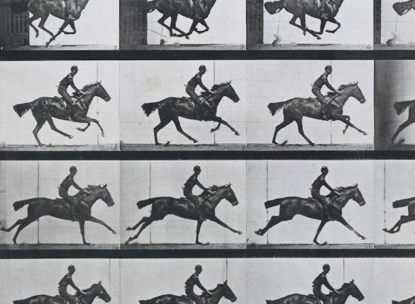 Eadweard Muybridge, detail of ‘Bouquet’, Galloping, 1887. Collotype on paper. Rijksmuseum, Amsterdam, Netherlands.