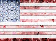 artistic version of US flag