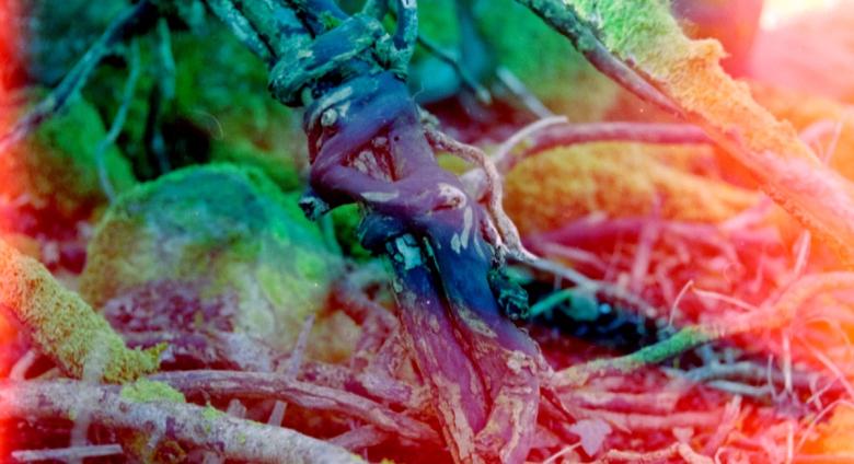 Photo by Zoe Hamill, photographer and photography technician at Stills Gallery in Edinburgh