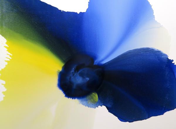 Bassmi Ibrahim's Isness 154