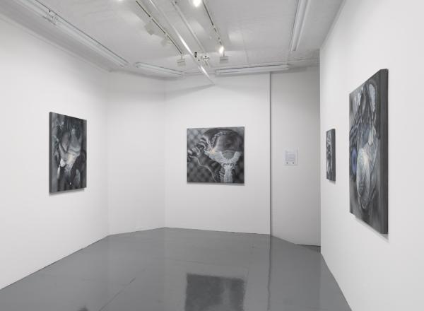 Installation view of Bea Scaccia: With their Striking Features, 2022 at  JDJ Tribeca.