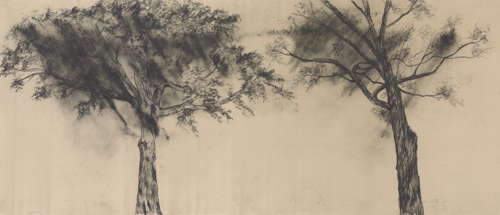 The Forest’s Bedding (El lecho del bosque)