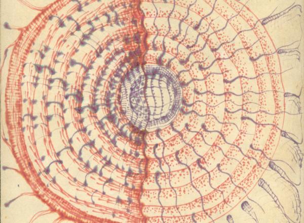 Jordan Belson Brain Drawing, 1952 Ink on paper 7 13/16 x 7 13/16 inches (19.8 x 19.8 cm) Estate of Jordan Belson, Courtesy Matthew Marks Gallery