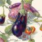 Eggplant- Jean Emmons, “Eggplants,” watercolor on vellum, 2020.