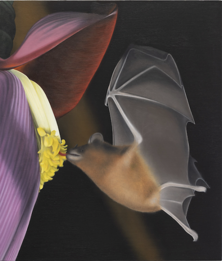 Courtesy Madragoa, Lisbon