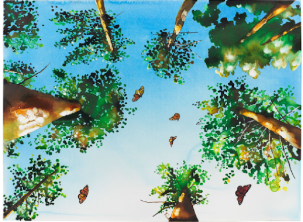 Alexis Rockman, Sequoias, 2024, watercolor and acrylic on paper, 18 x 24 inches (46 x 61 cm), framed: 20 x 26 inches (51 x 66 cm), $16,000